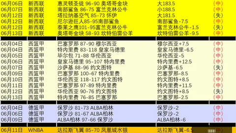 东北足球盛宴辽宁铁军对阵山东泰山，大连英博激战上海申花终极指南